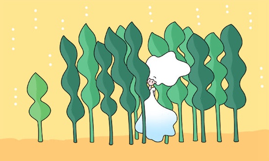 江西農業(yè)大學遺傳學071007考研科目及參考書目